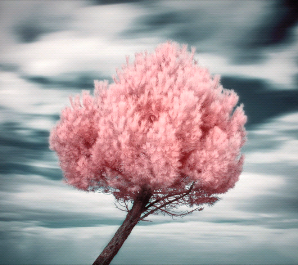 siimplementepyp's tweet image. 