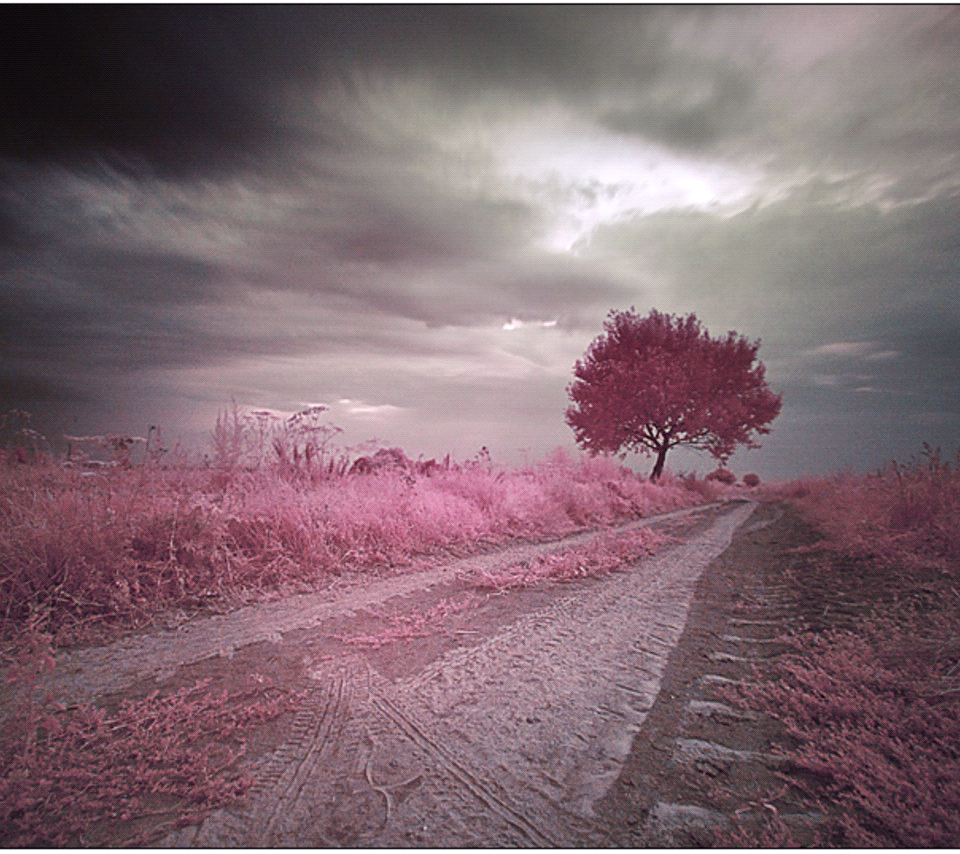 siimplementepyp's tweet image. 