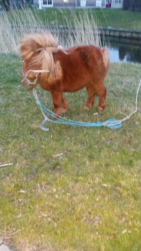 Is dit normaal aan de kant van de weg @wijkagtcobussen ????