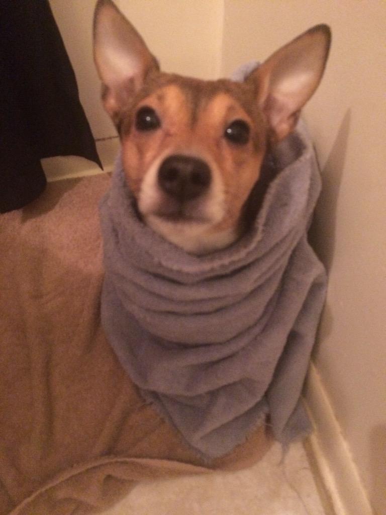 mrs_sixstrings's tweet image. Getting all pampered up for the new house!!!!