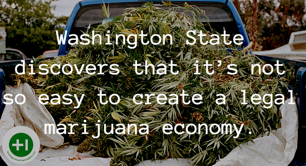 Cannaplete's tweet photo. NEW POST // http://t.co/DYm2Kz3uUS #Marijuana #cannabis http://t.co/6DOC35m4Yj