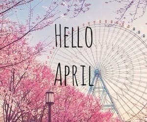 Driving is a responsibility! We work to bring a fast delivery and on time for our customers.