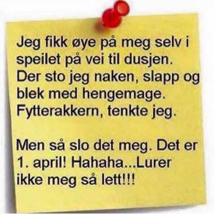 AnneSofiesmaa's tweet photo. http://t.co/u1P8lVRFtR
