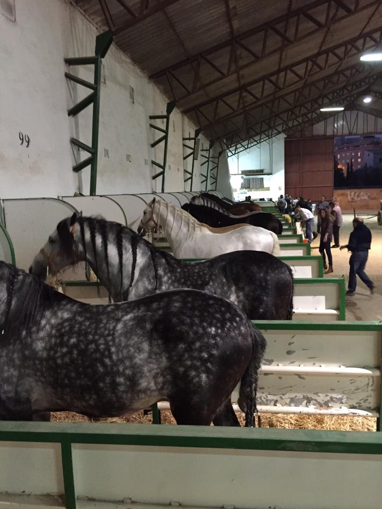 NavePasoBlanco's tweet photo. Recibiendo a nuestros caballos http://t.co/suiT6rSKU6