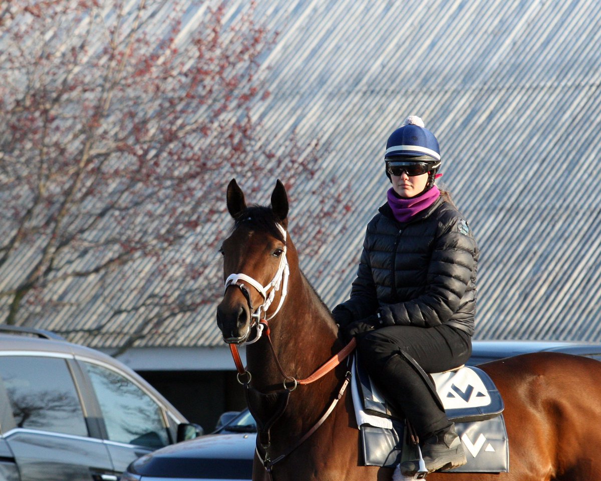 Keeneland Barn Notes available for Wednesday, April 1 bit.ly/1FidcEz