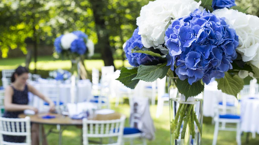 Charlotte Miller tweet media