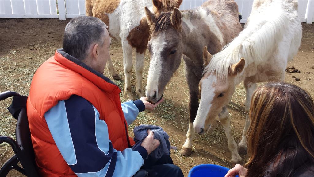 MtBachelorLEC's tweet photo. Berney helped gentle 3 tiny rescue foals with kind words and grain today. #horselove #frontierculture @MtbachelorMC http://t.co/81zaw60NMW
