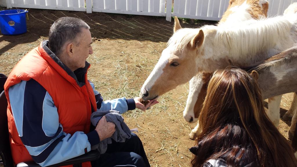 MtBachelorLEC's tweet photo. Berney helped gentle 3 tiny rescue foals with kind words and grain today. #horselove #frontierculture @MtbachelorMC http://t.co/81zaw60NMW