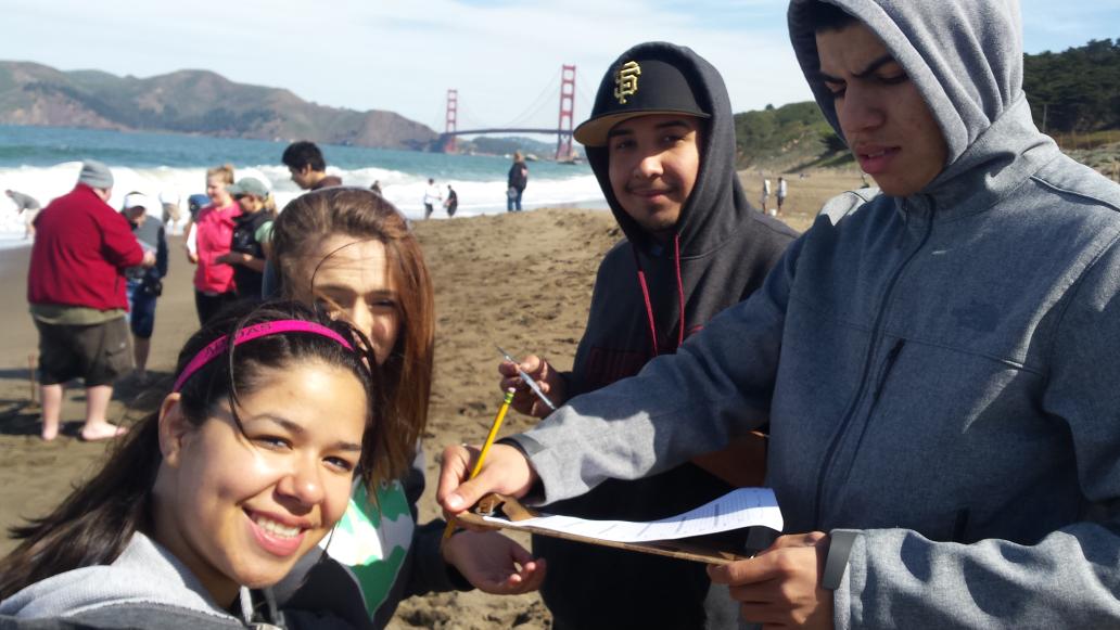 Students collaborate with scientist to survey population of Sand Crabs at Baker Beach, San Francisco.