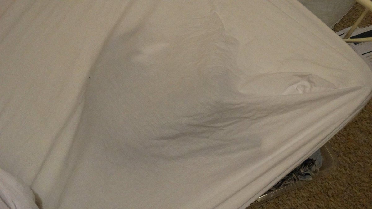 JasperRuler's tweet photo. I like to help make the bed! Can you see me? #hideandseek http://t.co/C0Q01OBisJ
