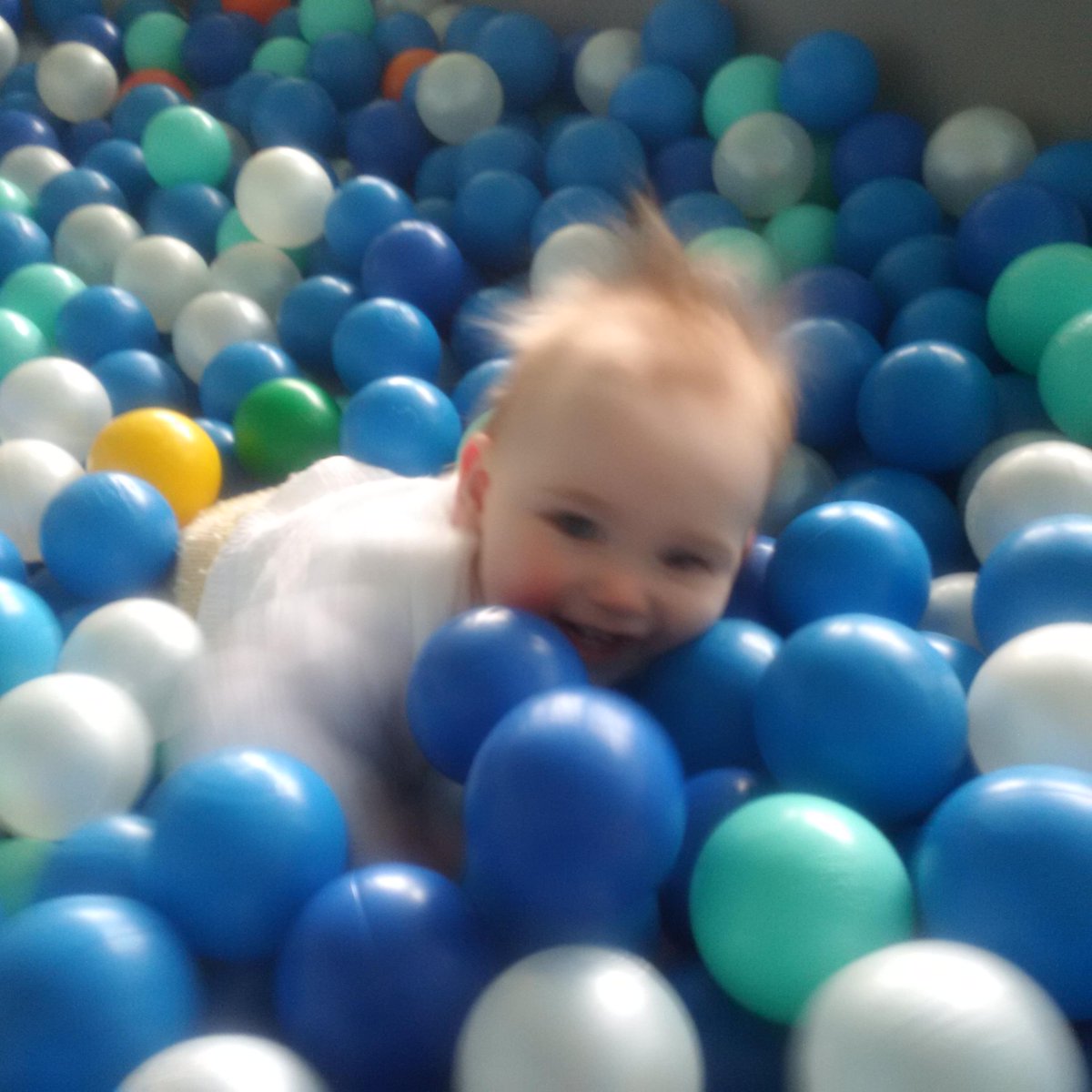 Charles Hanson tweet media