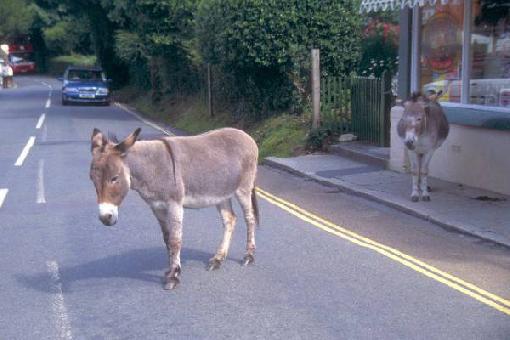 عابد شیر علی اسلام آباد ہائی وے پہ بغیر پروٹوکول کے گھومتے ہوئے 

واہ میاں صاحب واہ👍 "