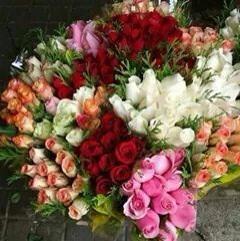 saood556's tweet photo. http://t.co/G4B3s9XqF0