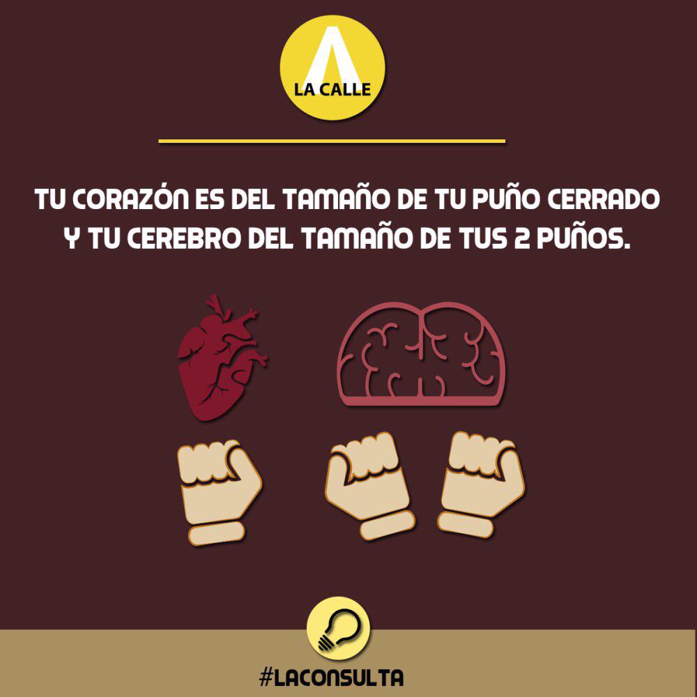 La Calle tweet media