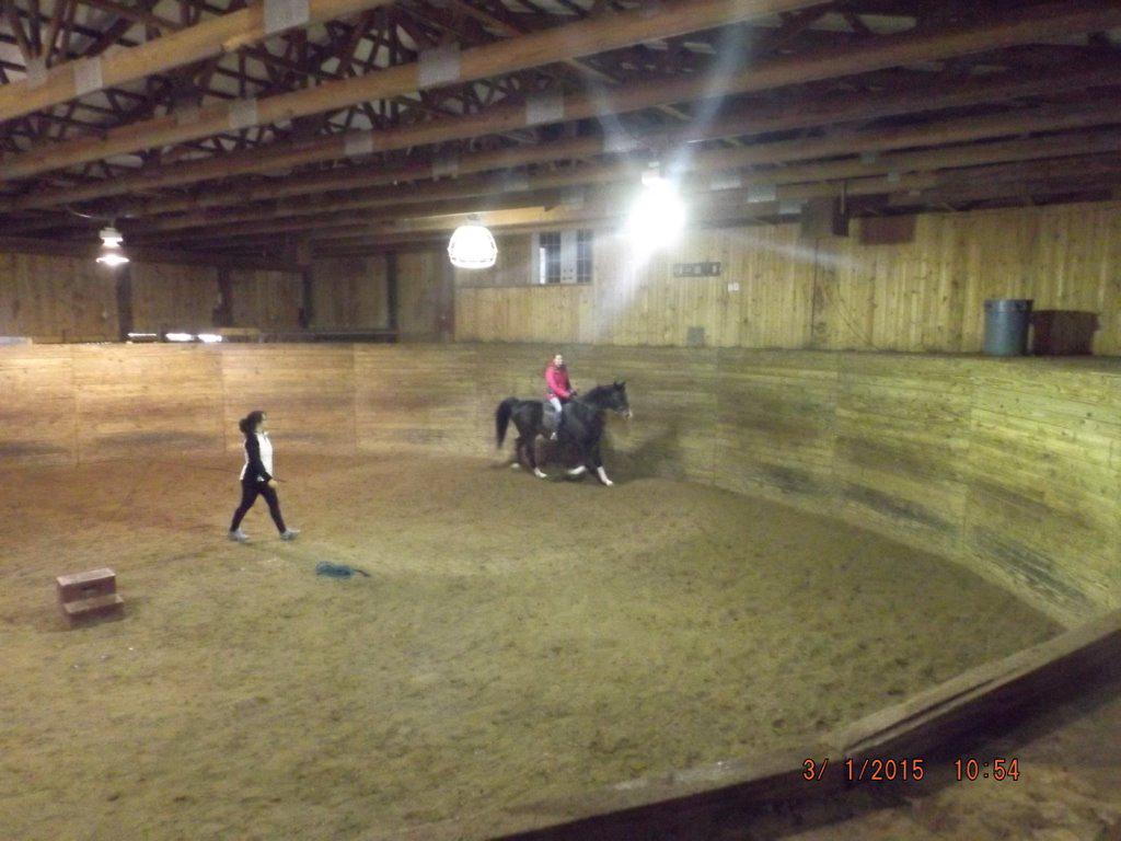 av_Ashley19's tweet photo. Riding a horse named night http://t.co/lLv1iJQS8c