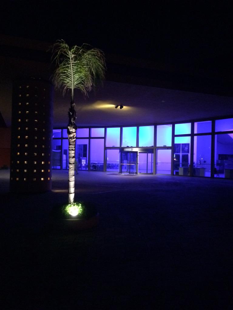 Luis Fernando Viejo tweet media