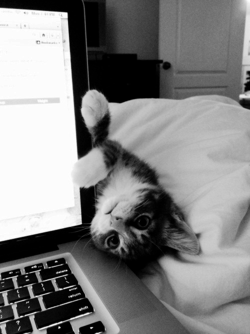Instaweird's tweet photo. Bonne nuit 💕 http://t.co/SXV9xVtMvm