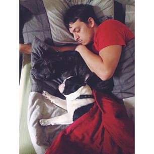 These boys of mine😍 #sleepyface #frenchie #frenchbulldog #morningsarethebest #wakeup findelight.net/frenbull_detai…