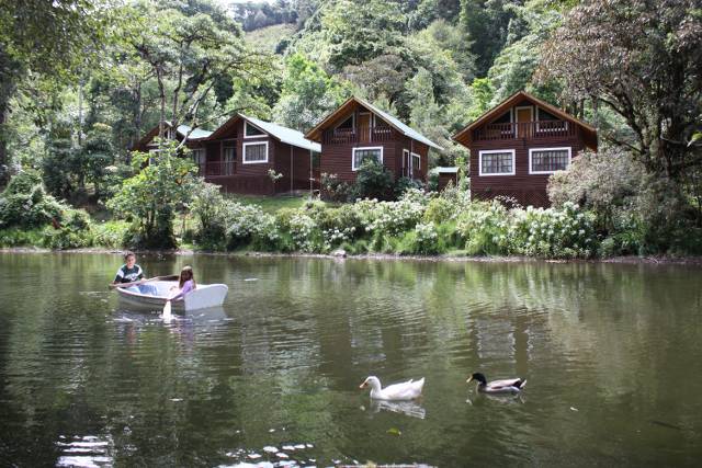 TravelATraining's tweet image. Interesting article from #destinos about #Dota area here:
travelagentraining.com/blog_en.php?ur…