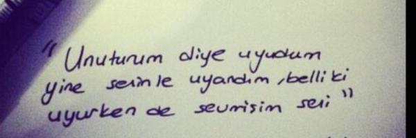 seviyorumm seni <3