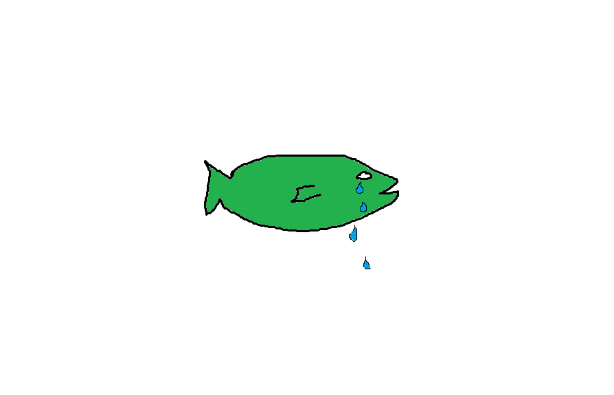 AntoniRemillard's tweet photo. Ça, c'est le poisson de novembre. #poissondavril #dedefortin #HaraKiriCestPasUneSorteDeSushi http://t.co/Leoh6MapsB