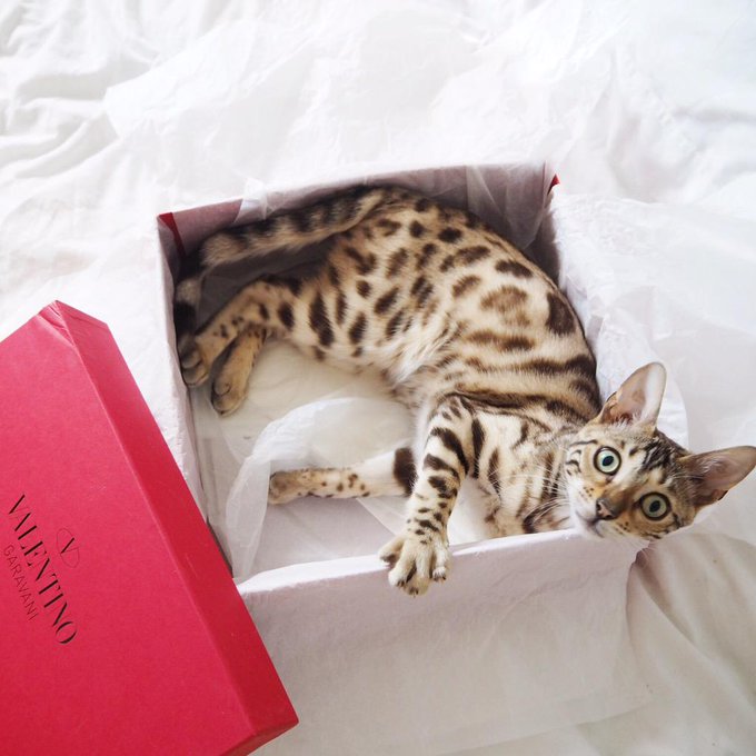 Watch Lydia's leaked NSFW photo on TwXstars