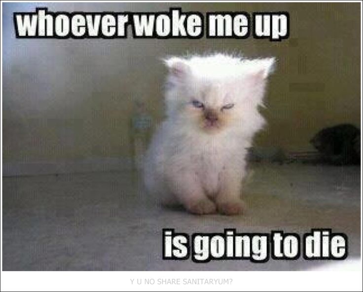 payrollsoftwoo's tweet image. Made me laugh.