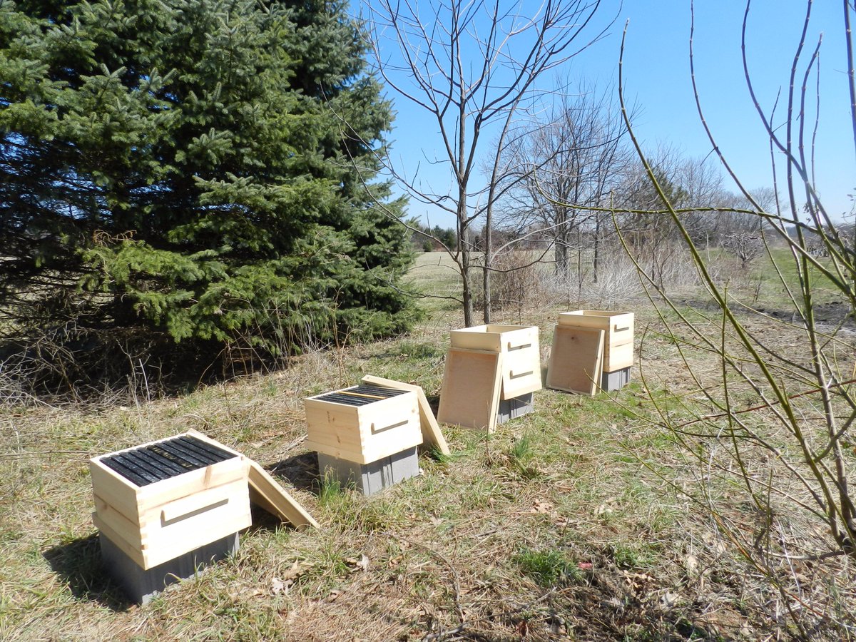 19jeff59's tweet photo. setting 10 new #bee #hives what a #spring #day http://t.co/AIa13qooMU