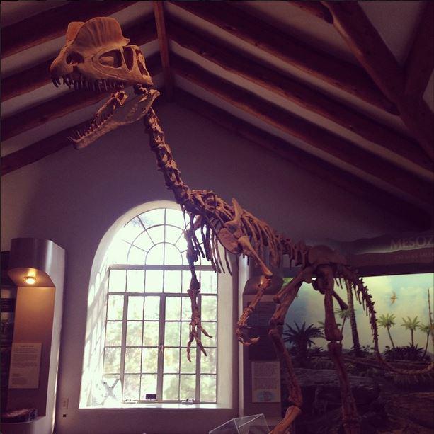 SpringSteward's tweet photo. #aDayInTheLife @museumofnaz walking through the exhibits before heading home. #wednesday #humpdayhappenings http://t.co/Xi8pFLmgDH