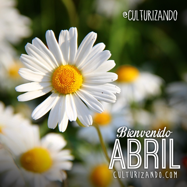 Bienvenido abril | Culturizando | Scoopnest