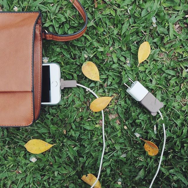 helloitspimtha's tweet image. ปลอกหุ้มสายชาร์ตหมีน้ำตาลมาช่วยชีวิตล้าวว สายไม่หักล้าวว ☺️🐻 @gibgiw_by_papo  #wireprotector by pimtha