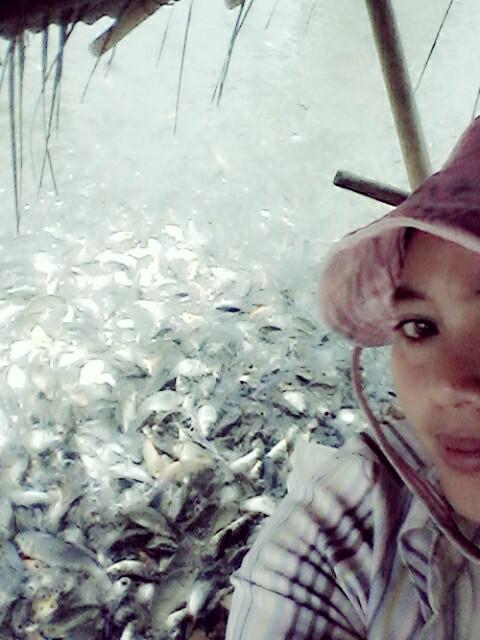 cd07032edc5b42f's tweet photo. sepulang mengajar ini lah kegiatan ku setiap hari.... http://t.co/kgsQlrVx25