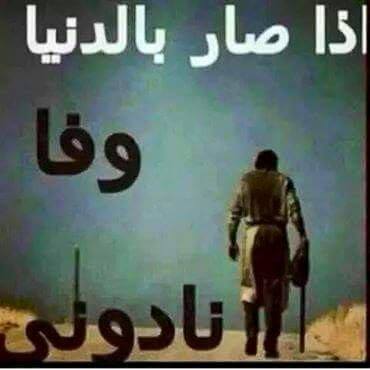 seragaid2 tweet picture