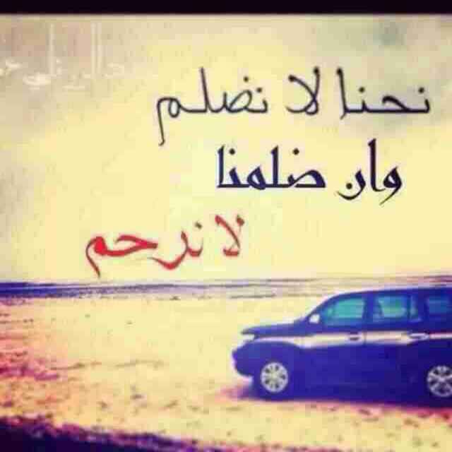 seragaid2 tweet picture