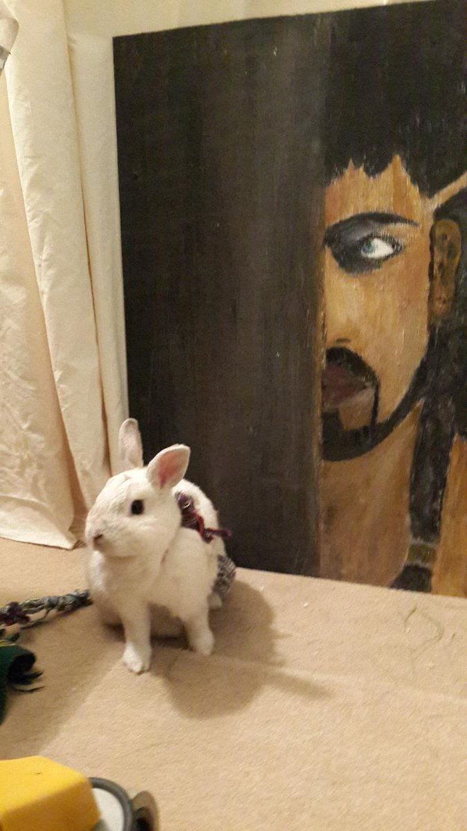 Jacob Botha tweet media