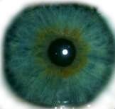 VersaceVerse's tweet photo. ME- I don't know anything about that Girl- Yes you do &amp; I know because I just GAZED INTO YOUR SOUL http://t.co/XAruVm0woK