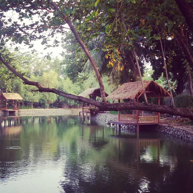 ALARKHABEL's tweet photo. وقت أستيقاظ المشاعر 🕓
#انشول الحالمه ♥
#اندونيسيا #indonesia #جاكرتا #jakarta #travel
#incol http://t.co/ufdgDTtpcR
