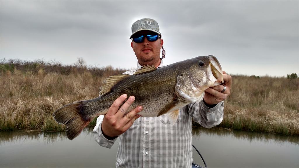 Matt Reed tweet media