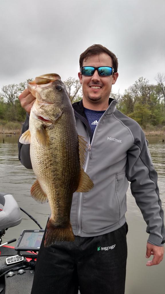 Matt Reed tweet media