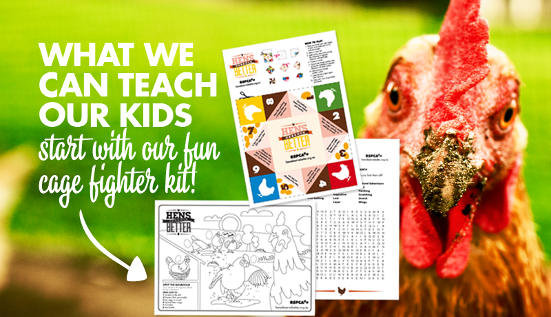 RSPCA's tweet photo. On this week's #AllChefs blog: What can we teach our kids about animal welfare? http://t.co/UQInrYBjxT http://t.co/0bOfDcukyI
