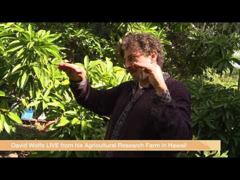 My Favorite Fruit! vid.staged.com/ql3o #Medicinal #Reishi