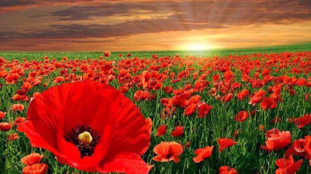 أروع ما قرأت tweet media