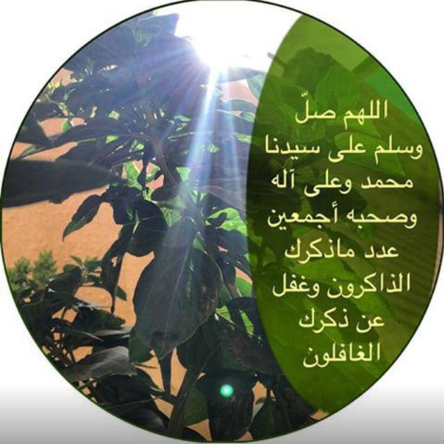 أروع ما قرأت tweet media