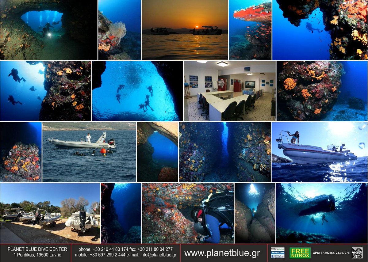 PlanetBlueDive's tweet image. 