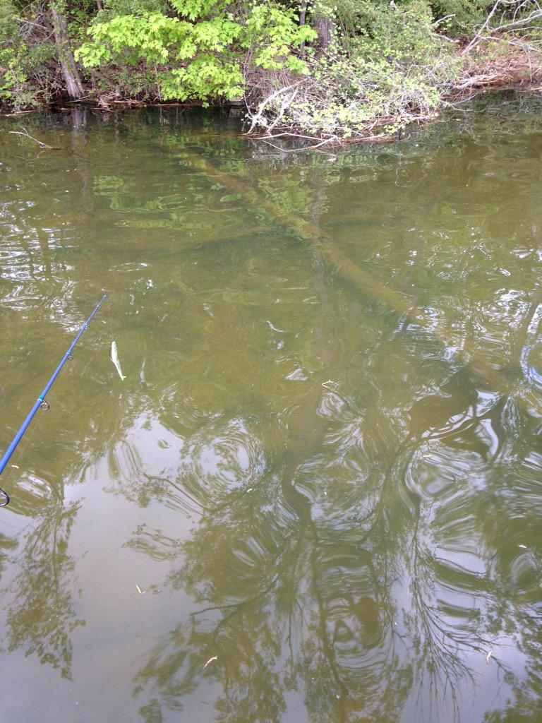 BrennanJohnson4's tweet photo. Little bit of fun fishin today with friends @BrendonPinner http://t.co/xzz9H6dHpZ