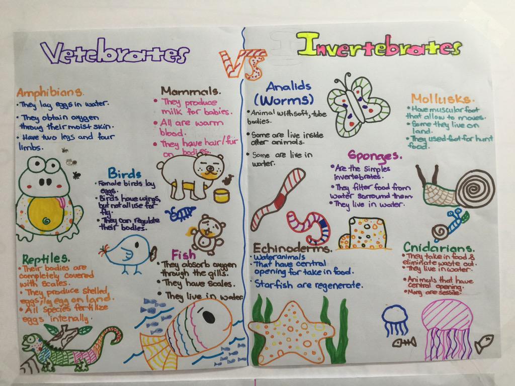 jeffbonazzo's tweet photo. Great stuff going on in Grade 7 Life Science right now! #aismsrocks http://t.co/rP7zuLdM1o