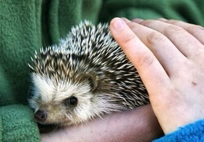 main_exitpaper's tweet image. 抱っこしてよしよし