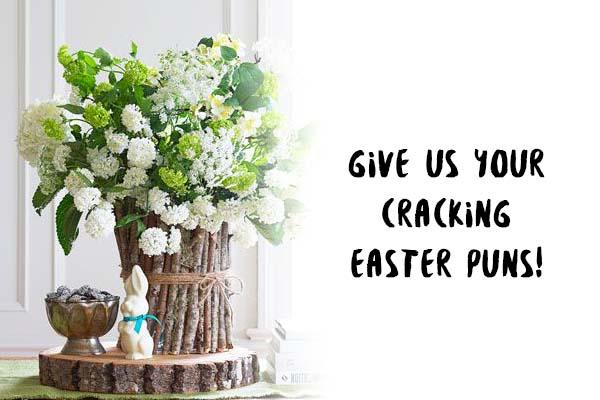 why_not_flowers's tweet photo. Happy Easter! Eggcited for the weekend? We couldn't resist that yolk - tell us your best Easter puns! Hop to it... http://t.co/suo4VRNExB