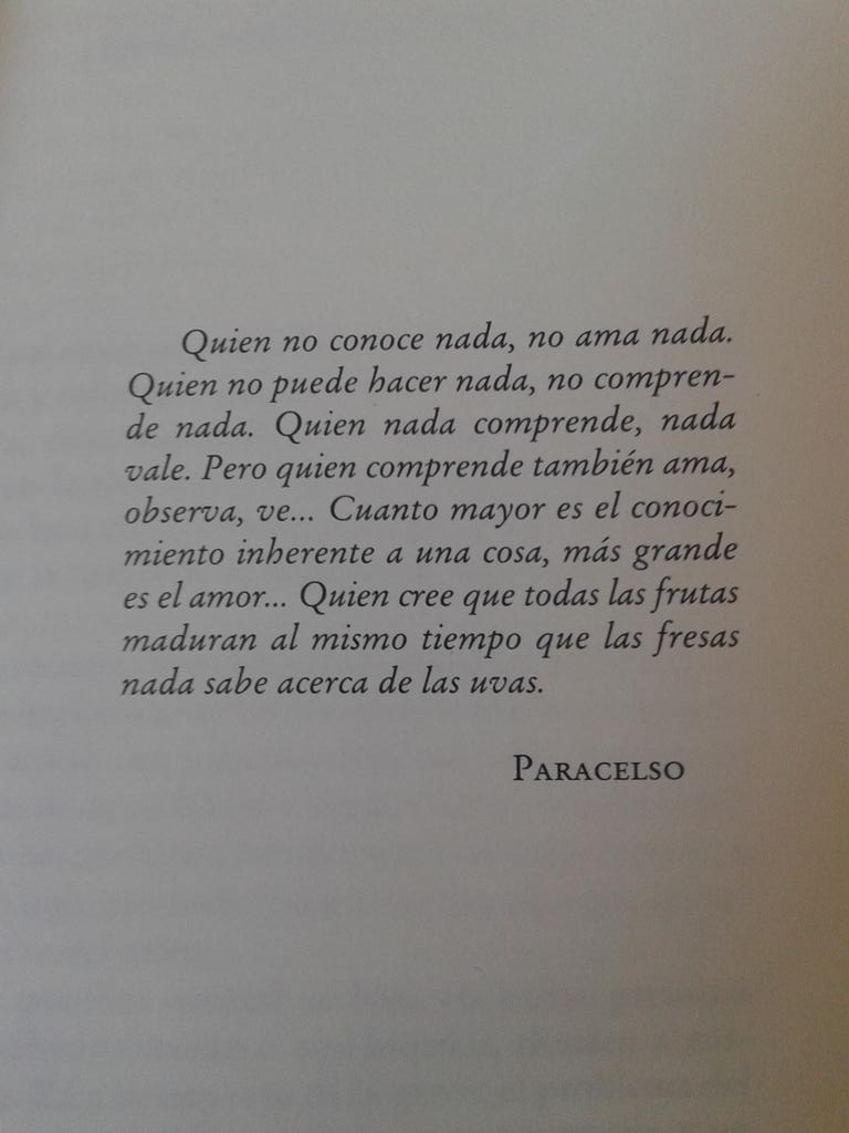 sofiperez24's tweet photo. http://t.co/tMXrarqBfo