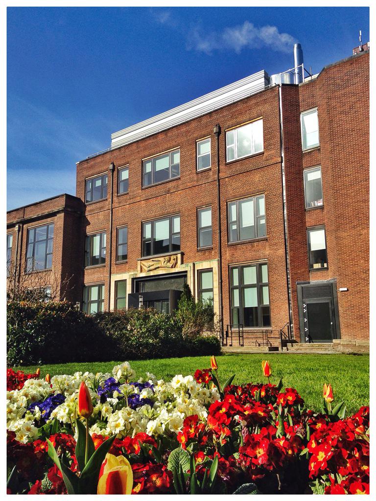 Thankyou to the <a href="/UniOfHull/">University of Hull</a> Ground Staff for such a beautiful Campus! Happy Holidays to all! #WeAreHull #ThisIsHull